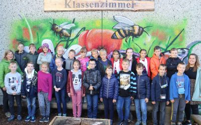 https://www.homburgschule-neuhausen-ob-eck.de/wp-content/uploads/2022/09/Klassenfoto-3a-min-scaled-400x250.jpg
